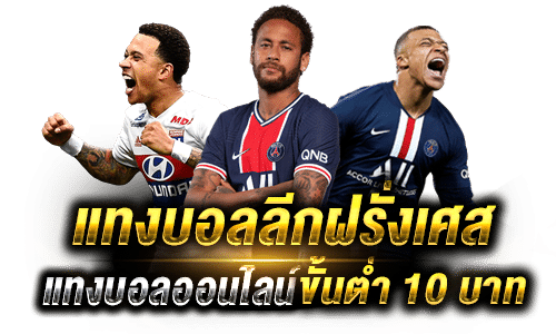 แทงบอลฝรั่งเศสผ่านเว็บแทงบอลออนไลน์